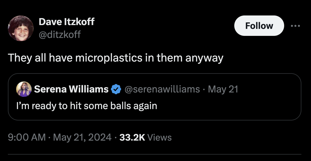 screenshot - Dave Itzkoff They all have microplastics in them anyway O Serena Williams May 21 I'm ready to hit some balls again Views